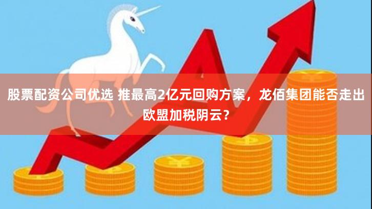 股票配资公司优选 推最高2亿元回购方案，龙佰集团能否走出欧盟加税阴云？