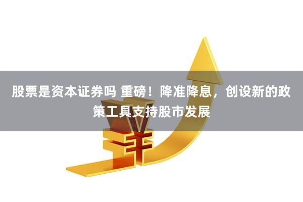 股票是资本证券吗 重磅！降准降息，创设新的政策工具支持股市发展